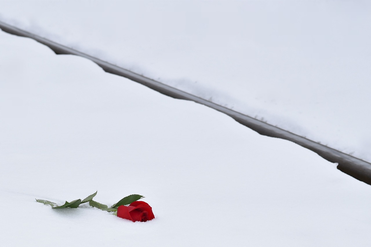 The Paradox of Tragedy - A Philosophical Analysis